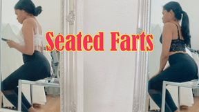 Seated Farts - 11 minutes of fart clips