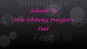 Submit To Miss Whitney Morgan's Feet - mp4