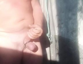 Wank
