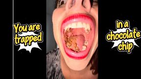 You are trapped in a chocolate chip