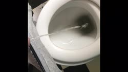 Piss For Greg