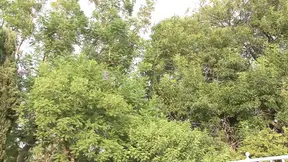 My passion for a big black cock