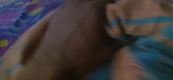 Kotteta hikuwa mola wadi wela