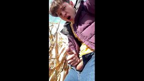 The ART of the SOLO MALE ORGASM - the Hottest Outdoor Cum Compilation / naughty / top / big load