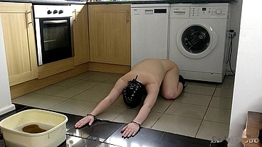 Slave Cleans Kitchen Floor in Chains