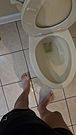 Peeing at a Public Pool