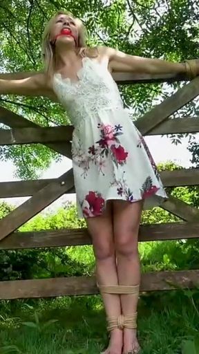 Damsel Tied to Gate Crucifix Bondage & Ballgagged