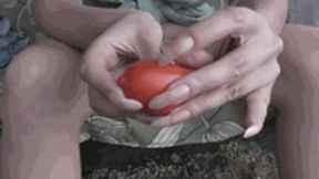 21Aug2021_tomato