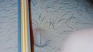 Attempting to poke a pencil with a finger