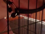Slave restrained in stress position for two hours and fucked