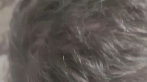 Lo Schiavo da soma in cuccia.