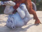 Two Gay Male Lions Creaming Each Other (POV & Paw Shots) | Wild Life Furries