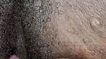 Sogro seduz a esposa bbw do filho e chupa seu cu e sua buceta até a gordinha safada gozar na sua boca