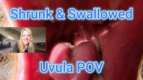 Shrunk & Swallowed – Uvula POV