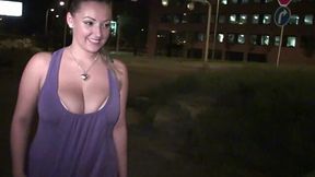 Krystal Swift's Public Dogging Orgy: Big Tits, Big Fun!