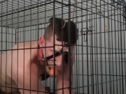 Restrained sub with tied balls rubs hot sauce on cock, balls, and in ass.