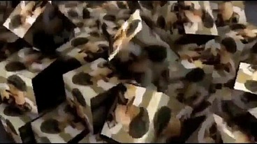 SEXO EXTREMO EL MACHO DEL VECINO RESULTO SER UN AMO ,ME DEJO LLENA DE LECHE Y MORETONES