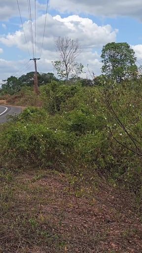 Nothing better, talking, feeling the breeze, making friends   Clip 1