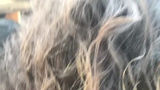 Skipping to suck a dick on my last day (car sex)