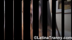 trans pornstar nikki montero a very pretty argie tranny cumshot on face