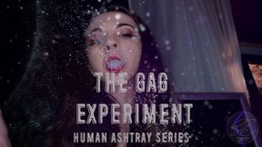 The Gag Experiment - Human Ashtray Series