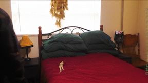 A Little Bed & A Little Breakfast HD