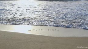 Butterfly's Dream - Putri Cinta