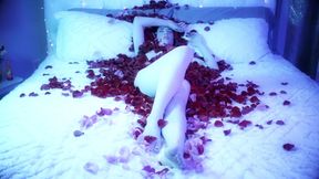 Can`t Always Get What You Want