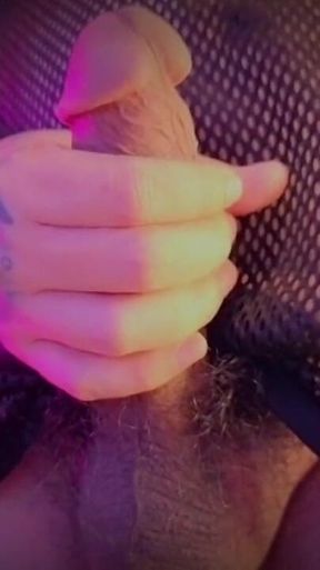 Stream 24 January 2026 Kim Polizzi