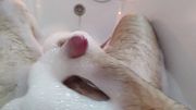Relaxing in the Foam — Until Things Got Intense