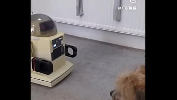 Omnibot has burst into action today and Fred doesn&#039_t know what&#039_s going on.