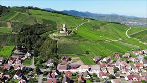 2 Women to Take Care of Me