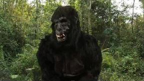 King Dong'_s 40oz Bounce!