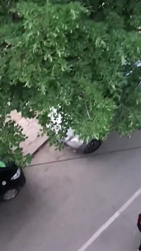 I Put These Socks on for You Stepdaddy