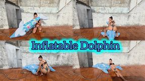 Spy on me riding a dolphin on the terrace