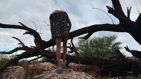 Ladyboy strips in public rides big ass tease feet joi hardcore anal
