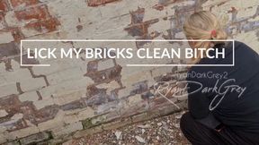 LICK MY BRICKS CLEAN BITCH – HUMILIATION – 8min 39sec