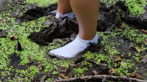 Muddy white socks, white socks in a swamp, wet and muddy white socks, white socks mud stuck