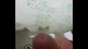 Paja en ba&ntilde_o de la casa