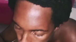 Compilation of face splats on doggo!