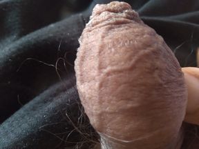 My monster cock wants a great blowjob