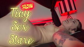 Tiny Sex Slave