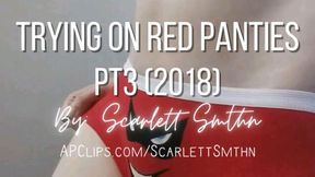 Trying On Red Panties Pt3 (Mobile) 2018