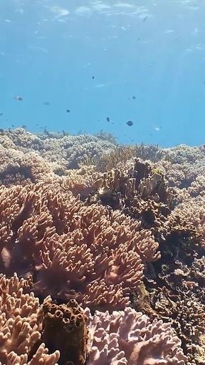 Backstage - Lisi Parisi