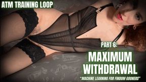 ATM Training Loop - PART 6: Maximum Withdrawal