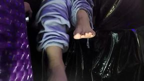 Just For My Little Squeaky Pet