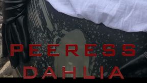 Peeress Dahlia - Pleasure in the woods