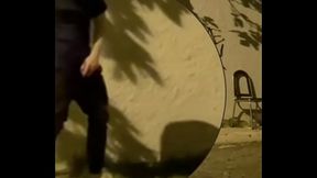 compilation of amateur boys flashing their cocks in the streets or parks