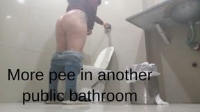More pee in another public bathroom