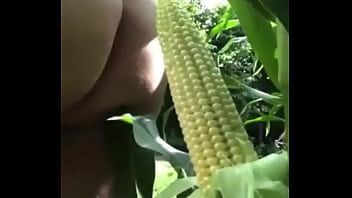 Organic dildo